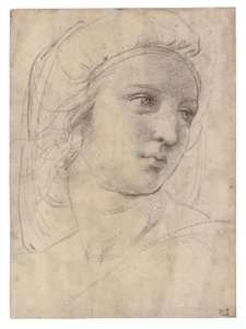 Szef muzy autorstwa Raphael
