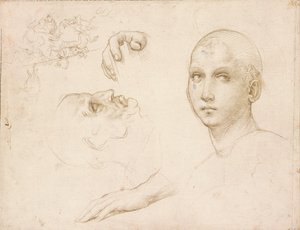 Studia dla Trójcy Świętej z San Severo, początek XVI wieku autorstwa Raphael
