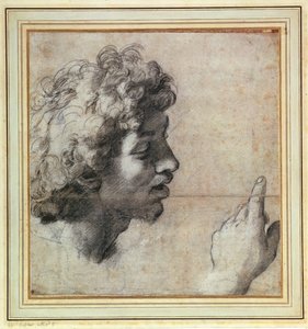 Badania głowy i dłoni mężczyzny autorstwa Raphael