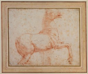 Studium jednego z koni kwirynalskich z marmuru, ok. 1515-17 autorstwa Raphael
