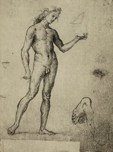 Męskie studium nagości; rysunek Rafaela. Gallerie dellAccademia, Wenecja