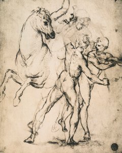Akty męskie z koniem; rysunek Rafaela. Gallerie dellAccademia, Wenecja autorstwa Raffaello Sanzio Raphael
