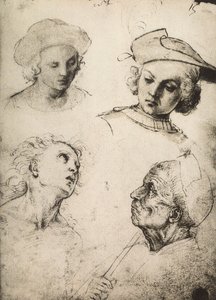 Badanie czterech męskich twarzy; rysunek Rafaela. Gallerie dellAccademia, Wenecja autorstwa Raffaello Sanzio Raphael