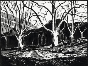  autorstwa Raymond Bonnefon