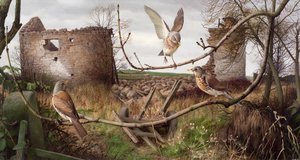 Fieldfares w Eccup, West Yorkshire autorstwa Raymond Booth