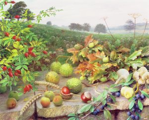 Zbieranie dzikich plonów autorstwa Raymond Booth