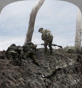Bitwa pod Polygon Wood, niedaleko Ypres, Flandria, Belgia, I wojna światowa, wrzesień 1917 autorstwa Realistic Travels Publishers