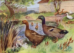 Ilustracja do My Farm (litografia kolorowa)