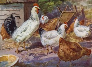 Ilustracja do My Farm (litografia kolorowa)