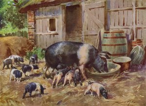 Ilustracja do My Farm (litografia kolorowa) autorstwa Reginald Mills