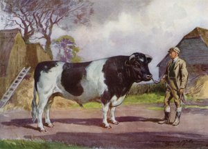 Ilustracja do My Farm (litografia kolorowa)