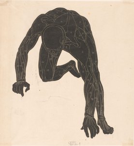 Anatomiczne badanie mięśni szyi, ramion i nóg mężczyzny w sylwetce autorstwa Reijer Stolk