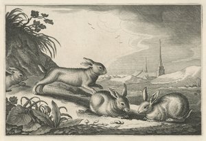 Krajobraz wydm z królikami Diversa Animalia Quadrupedia (tytuł serii)