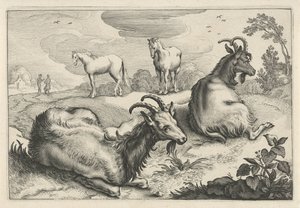 Krajobraz z dwiema kozami i dwoma końmi Diversa Animalia Quadrupedia (tytuł serii)