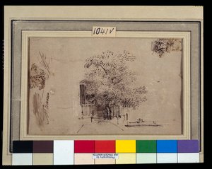 Studium drzewa przed domem (pióro i atrament z praniem na papierze) autorstwa Rembrandt Harmensz. van Rijn