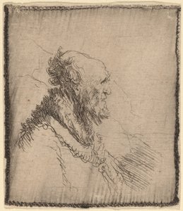 Łysy starzec z krótką brodą z profilu, ok. 1930 r. 1635. autorstwa Rembrandt van Rijn