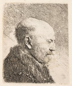 Łysy mężczyzna z profilu (ojciec Rembrandta?) autorstwa Rembrandt van Rijn