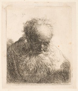 Popiersie starego mężczyzny z falującą brodą: głowa pochylona do przodu: lewe ramię nieocienione autorstwa Rembrandt van Rijn
