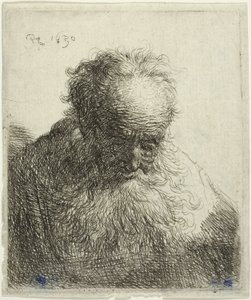 Popiersie starszego mężczyzny z bujną brodą: Głowa pochylona do przodu: Lewe ramię niezacienione autorstwa Rembrandt van Rijn