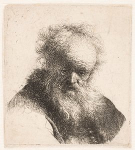 Popiersie starszego mężczyzny z długą brodą i białym rękawem autorstwa Rembrandt van Rijn