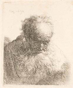 Popiersie starszego mężczyzny z długą brodą: głowa pochylona do przodu; lewe ramię nieocieniowane autorstwa Rembrandt van Rijn