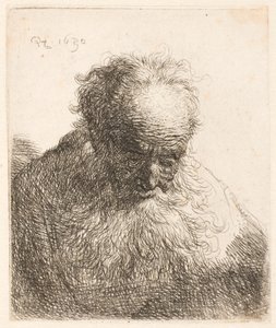 Popiersie starszego mężczyzny z długą brodą: głowa pochylona do przodu; lewe ramię nie jest zacienione autorstwa Rembrandt van Rijn