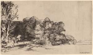Kępka drzew z Vista autorstwa Rembrandt van Rijn