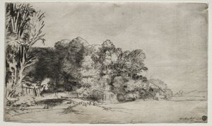 Kępka drzew z Vista, 1652. autorstwa Rembrandt van Rijn