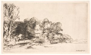 Kępka drzew z widokiem autorstwa Rembrandt van Rijn