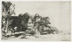 Kępka drzew z widokiem autorstwa Rembrandt van Rijn