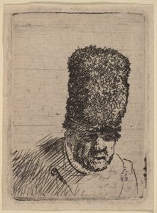 Głowa starego mężczyzny w wysokiej futrzanej czapce autorstwa Rembrandt van Rijn