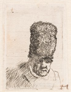 Głowa starego mężczyzny w wysokiej futrzanej czapce autorstwa Rembrandt van Rijn