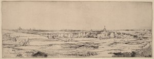 Pejzaż z widokiem na Haarlem (Pole wagi złota) autorstwa Rembrandt van Rijn