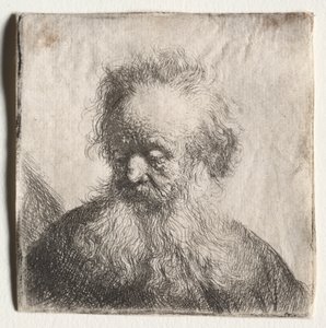 Stary człowiek z rozwianą brodą: biust autorstwa Rembrandt van Rijn