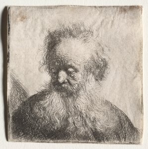 Stary człowiek z rozwianą brodą: Biust, 1631. autorstwa Rembrandt van Rijn