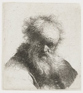 Starszy mężczyzna z długą brodą i białym rękawem autorstwa Rembrandt van Rijn