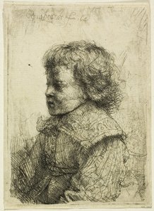 Portret chłopca autorstwa Rembrandt van Rijn