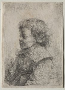 Portret chłopca w profilu autorstwa Rembrandt van Rijn