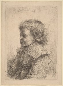 Portret chłopca z profilu autorstwa Rembrandt van Rijn