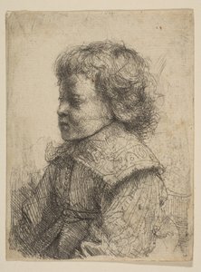 Portret chłopca z profilu, 1641. autorstwa Rembrandt van Rijn