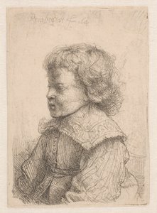 Portret chłopca, w profilu autorstwa Rembrandt van Rijn