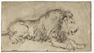 Leżący lew autorstwa Rembrandt van Rijn