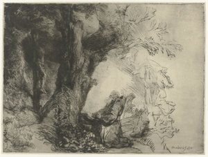 Święty Franciszek pod drzewem, modląc się Św. Franciszek pod modlącym się drzewem autorstwa Rembrandt van Rijn