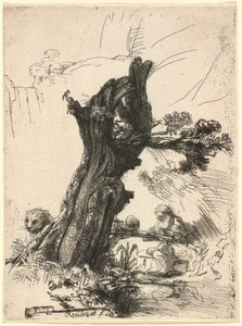 Święty Hieronim obok wierzby Pollard autorstwa Rembrandt van Rijn