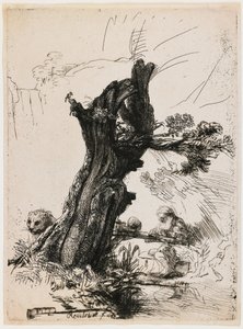 Święty Hieronim przy wierzbie przyciętej autorstwa Rembrandt van Rijn