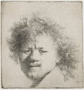 Autoportret z długimi, krzaczastymi włosami: sama głowa, ok. 1631 r. autorstwa Rembrandt van Rijn