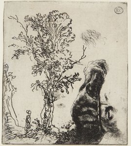 Arkusze z dwoma szkicami: „Drzewo” oraz „Górna część autoportretu w aksamitnej czapce” autorstwa Rembrandt van Rijn