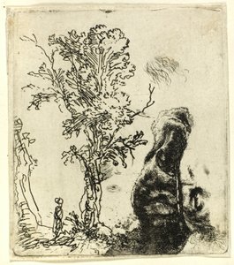 Arkusz z dwoma opracowaniami: drzewo i górna część głowy artysty noszącego aksamitną czapkę autorstwa Rembrandt van Rijn