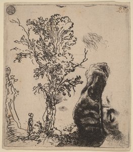 Arkusze z dwoma szkicami: drzewo oraz górna część głowy artysty w aksamitnej czapce autorstwa Rembrandt van Rijn