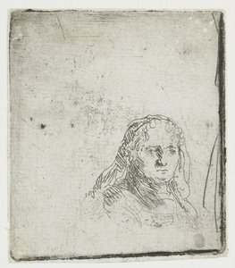 Studium głowy kobiety autorstwa Rembrandt van Rijn